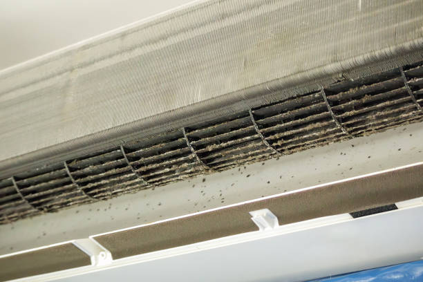 Best Best Air Duct Cleaning Company  in Kempner, TX